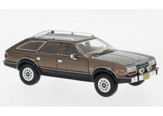 AMC Eagle