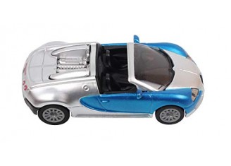 Bugatti Veyron Argent - photo 5