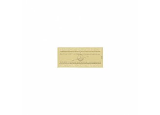 Buick Roadmaster Bordeaux - photo 4